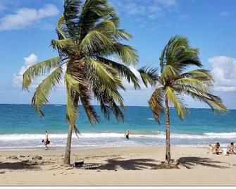 Apartment in the city, 5 minutes from the airport and the beach - Carolina - Playa