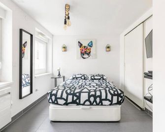 Résidence le premium, hyper centre, studio tout équipé - Straatsburg - Slaapkamer