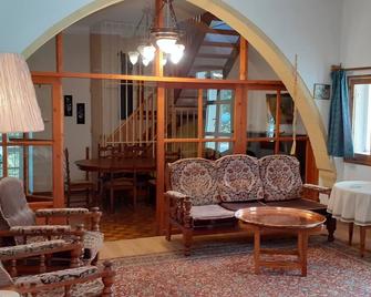 Villa for large families, Finnish Sauna, pool, free internet, 5 min to beach - Ozankoy - Living room