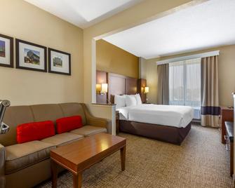 Comfort Suites Raleigh Walnut Creek - Raleigh - Habitación
