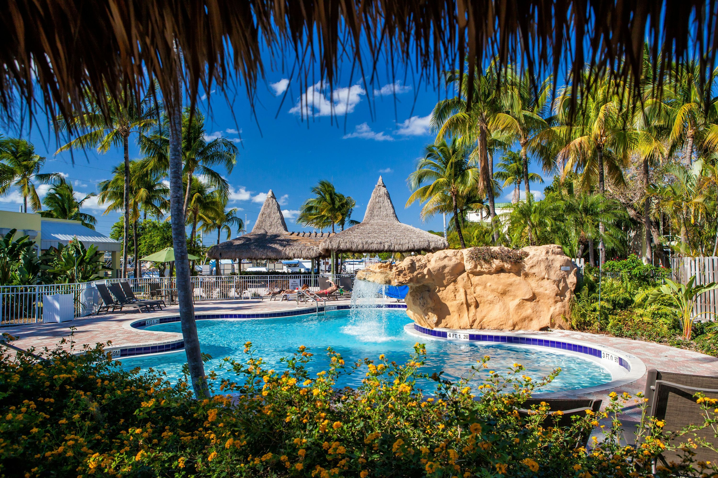 Holiday Inn Key Largo By IHG - קי לארגו - בריכה