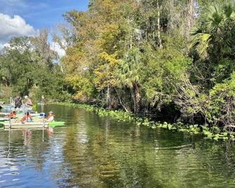 Orlando Area 4br/2b/Outdoor Pool/Jacuzzi/Billiard - Altamonte Springs - Outdoor view