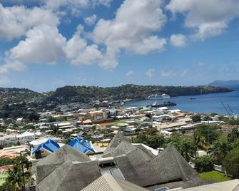 A private, classy 3- bedroom, apartment, A/C, free parking, Netflix, and Wifi, - Kingstown