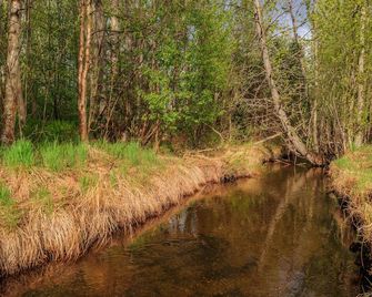 Mountain Views! Ground floor unit in a triplex near shopping and amenities - Anchorage - Vista del exterior
