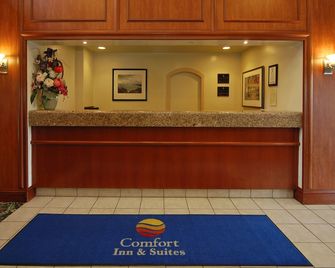 Comfort Inn & Suites San Francisco Airport North - South San Francisco - Ρεσεψιόν