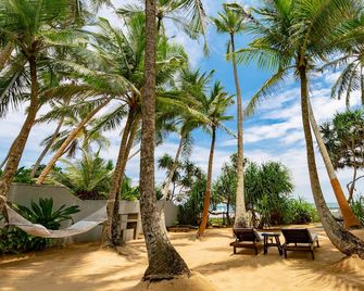 تارو فيلاز - 906 - هيكادووا - هيكادوا - شرفة مرصوفة