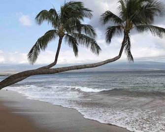 Views Views Views ~ Bliss On The Bay - 懷盧庫 - 海灘