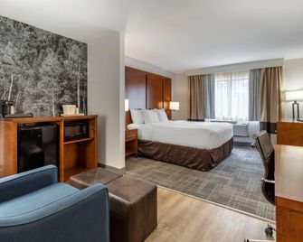 Comfort Suites Golden West on Evergreen Parkway - Evergreen - Habitación