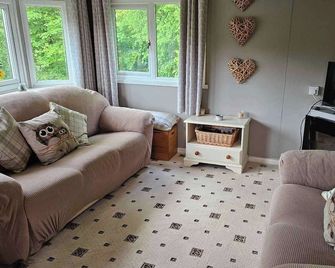 Number 8 Lodge Caer Beris - Builth Wells - Living room