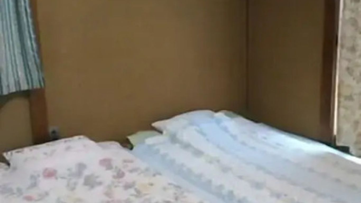 'Cherry House' is Direct to Narita,Haneda AP, Disney, Asakusa, Skytree Tower, Tokyo