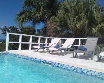 Amazing ocean view villa in the hills of Bonita & Coson - Las Terrenas - Pool