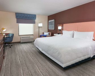Hampton Inn Springfield South Enfield - Enfield - Habitación