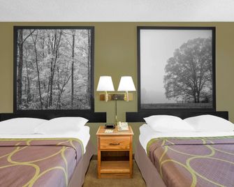 Super 8 by Wyndham Roanoke VA - Roanoke - Bedroom