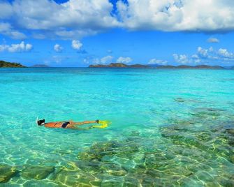 Luxury Beachfront Duplex Villa on Sapphire Beach IV - 聖托馬斯島