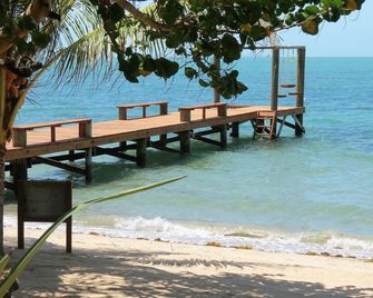 Villa Rising Sun Beachfront With Private Beach Bar & Dock - Hopkins - Beach