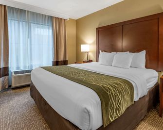 Comfort Inn & Suites Pittsburgh South - Pittsburgh - Bedroom