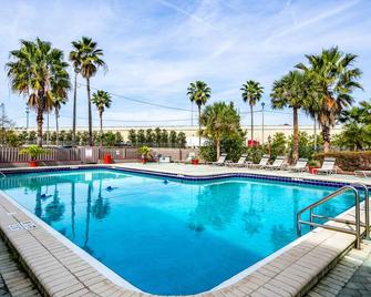 Lakeland Hotel - Lakeland - Pool
