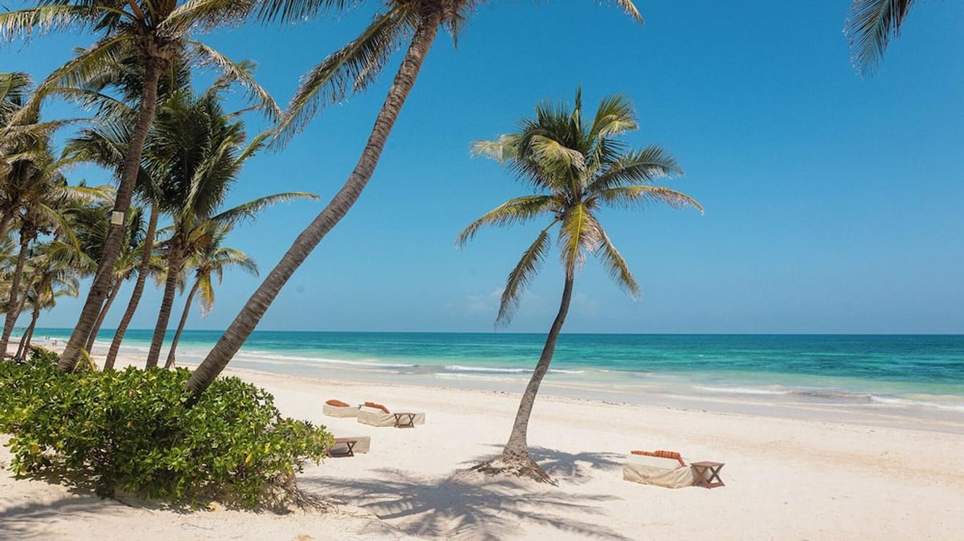 The Beach Tulum