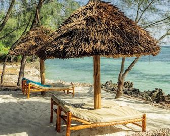 Salida Beach Zanzibar - Kizimkazi