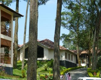 Tea county - Munnar