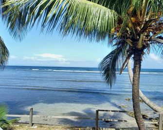 idyllic, caribbean house with A/C right by the sea - Calibishie - Beach