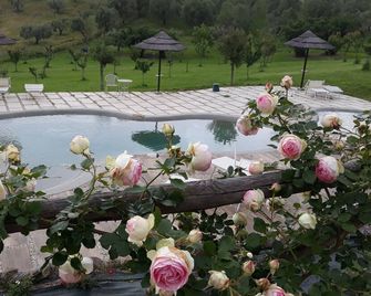 Agriturismo Angolo DI Paradiso. Diana - Formello - Piscina