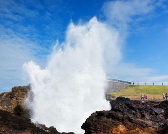 Hills View Bnb Studio Kiama Heights - Kiama