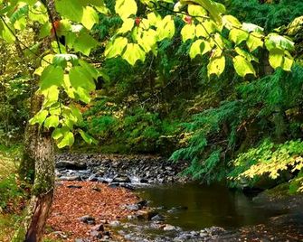Escape for a Mountain Getaway in Lisbon, NH - Lisbon - Outdoors view
