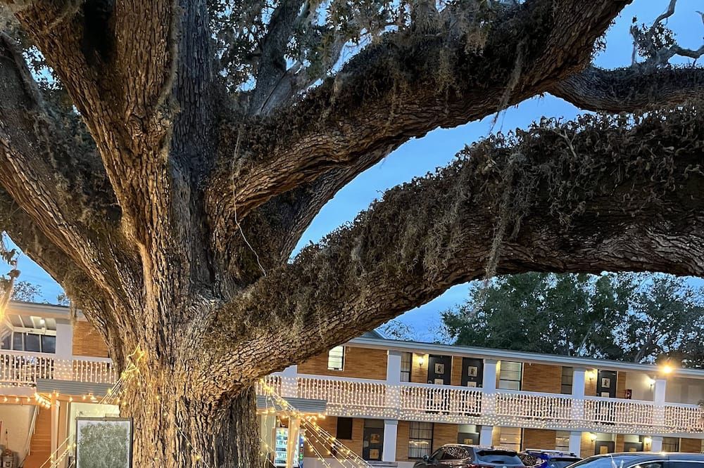 Outdoors view view of Castillo Inn
