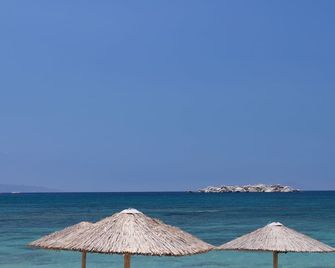 Archon Seaside Retreat - Plaka - Playa