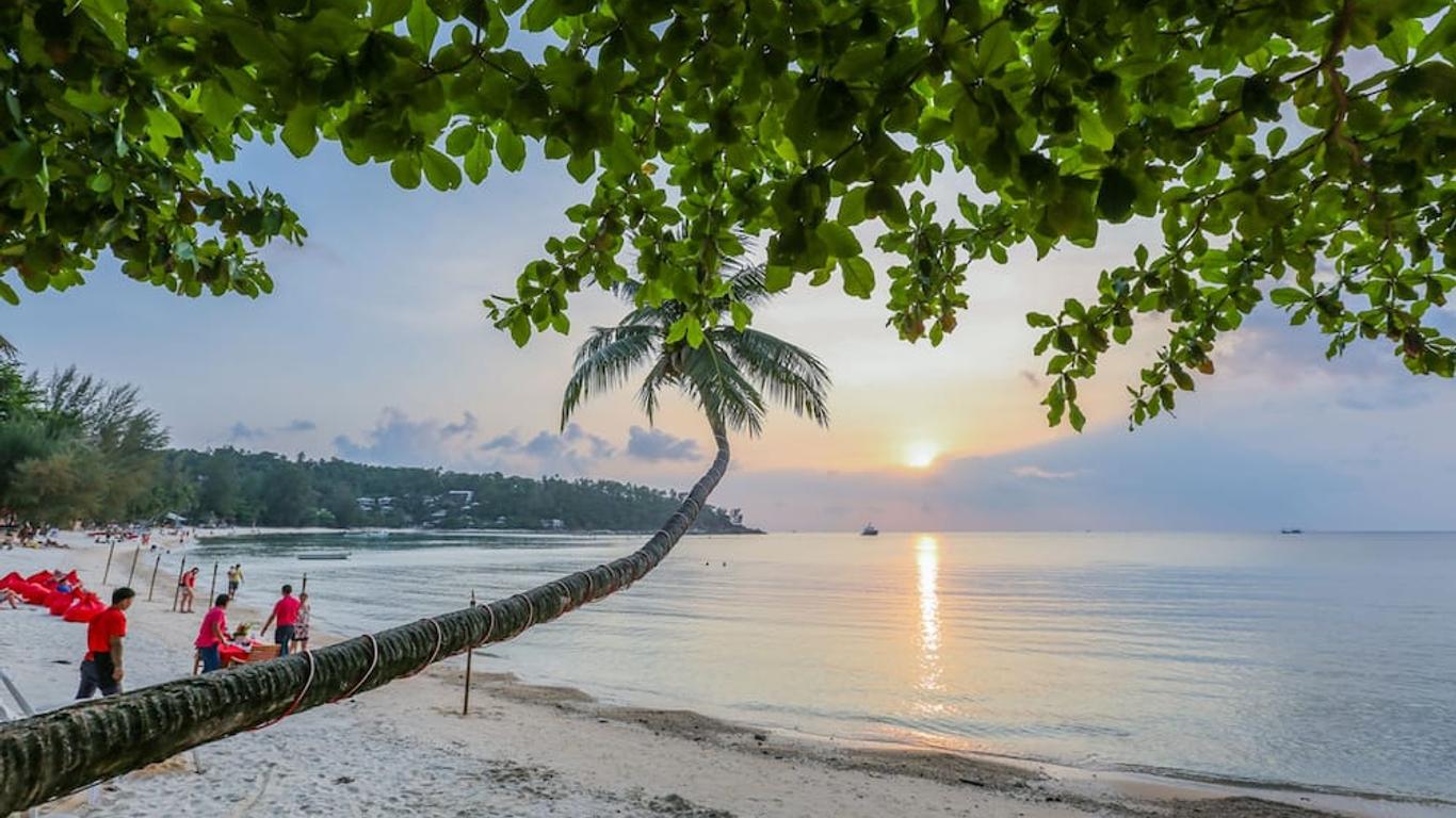 فيلا تشا تشا سالاد بيتش كوه فانغان