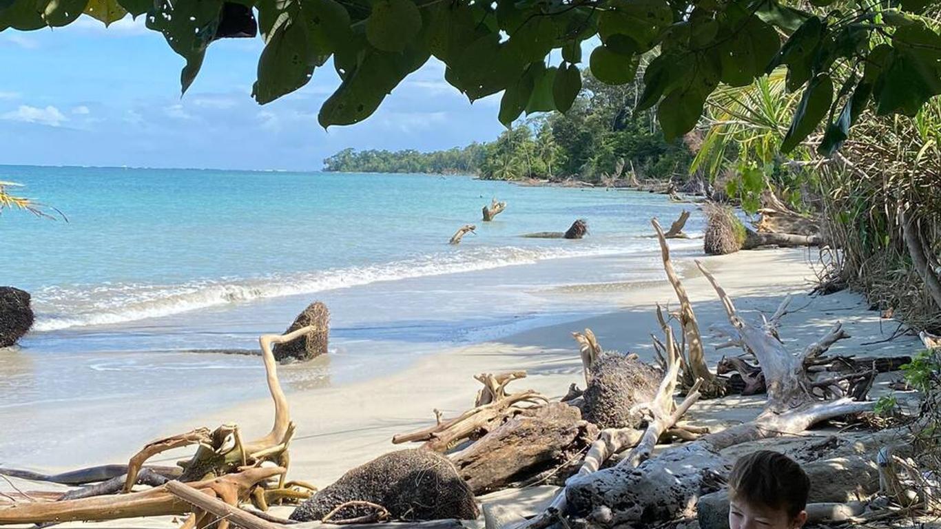 Hotel El Colibri Rojo - Cabinas - Le Colibri Rouge