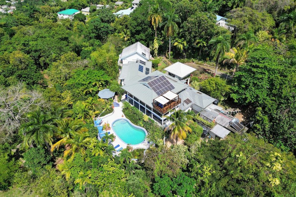 Lf Jungle Retreat - Port Antonio