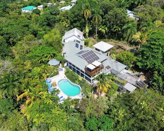 Lf Jungle Retreat - Port Antonio