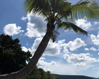 Magalong Beach Resort - Busuanga - Outdoors view