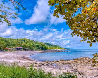 El Sano Banano Beachside Hotel - Montezuma - Beach