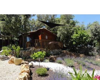 Domaine la Borie - Trans-en-Provence - Басейн