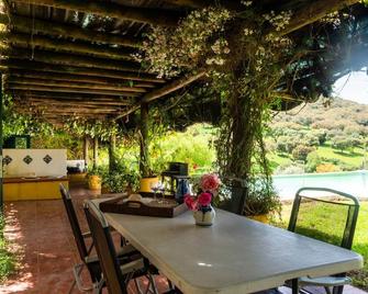 Farmhouse in Montemor near Forest and Lake - Montemor-o-Novo - Patio