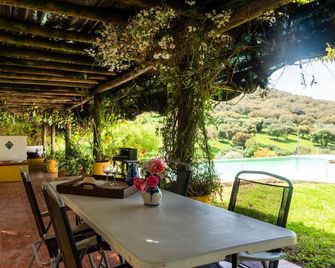 Farmhouse in Montemor Near Forest And La - Montemor-o-Novo - Innenhof
