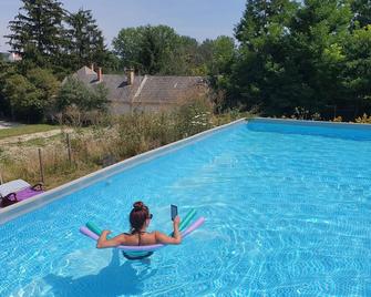Quirky, character guestroom in loam cottage in rural Hungary with outdoor pool - Koppányszántó - Piscina