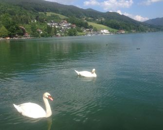 Pension Klimesch - Mondsee