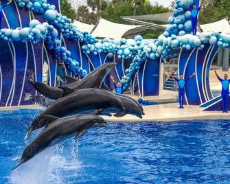 Modern- 2 Queen bed suite with pool near Disney World - Kissimmee