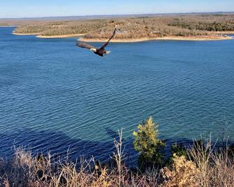 Breathtaking Views overlooking Bull Shoals Lake. 45 minutes from Branson!! - Yellville - Living room