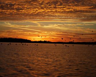 Birch Forest Lodge - Orr