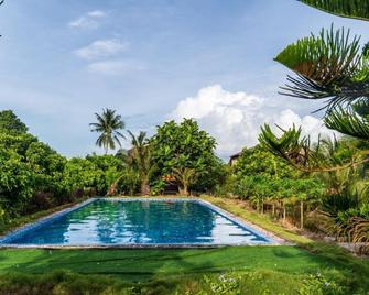 Phuong Thao Homestay - Vinh Long - Piscina