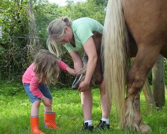 Stays In Roulotte With Horse 'Discovery Of The Val Of Love' And Rooms D Hotes - Mouchard