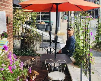 Historic Beauty and Walkable to Everywhere - Charlottesville - Patio