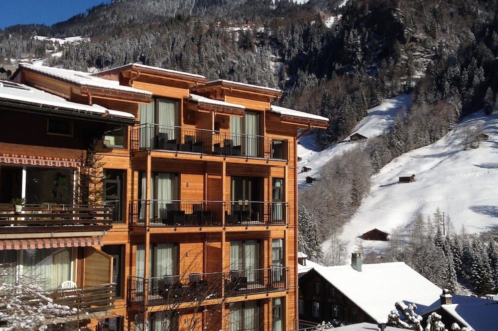 فندق سيلبيرهورن