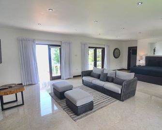 Heaven Villa - We are not on the water, we are above! - Port Antonio - Living room