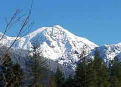 Little Green Cabin on Big Creek 5 mi to Mt. Rainier entrance! - Ashford - Edifici